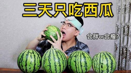 吃瓜王第三季全集免费,揭秘娱乐圈风云,免费观看全集大揭秘  第1张 吃瓜王第三季全集免费,揭秘娱乐圈风云,免费观看全集大揭秘  第1张